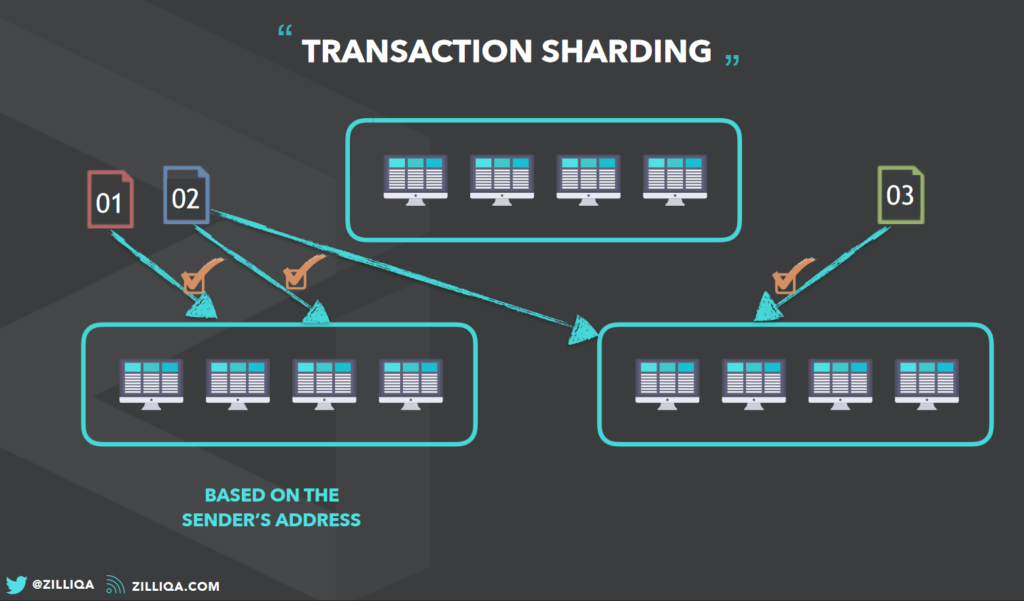 zilliqa transactions sharding