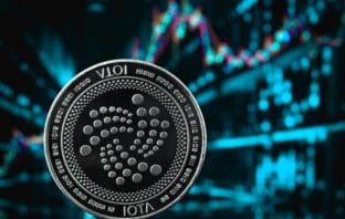 Ubircht enthüllt: Fruchtbarkeitstracker von trackle nutzt das IOTA Tangle IOTA
