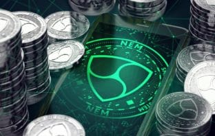 NEM: Community-led public chain with a pluggable private network NEM