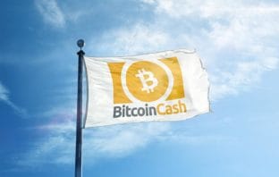 Bitcoin Cash: Nova moeda BCHA negocia a $20, lutando pela sobrevivência Bitcoin Cash