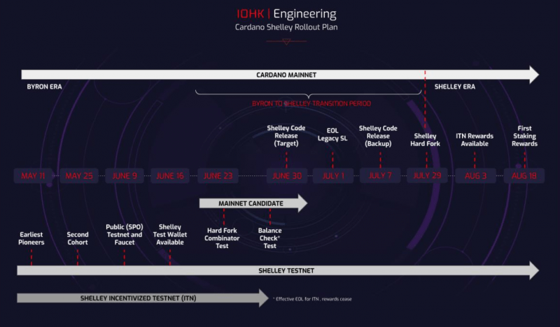 cardano shelley