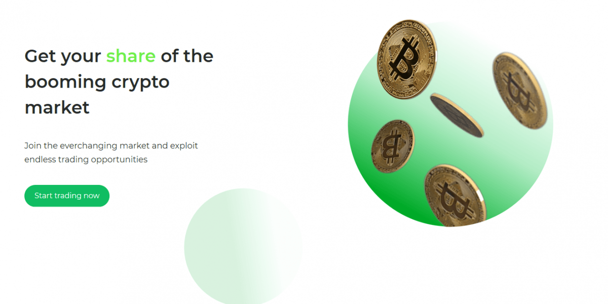 iota coin review