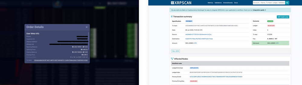 xrp ledger