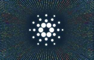 Cardano