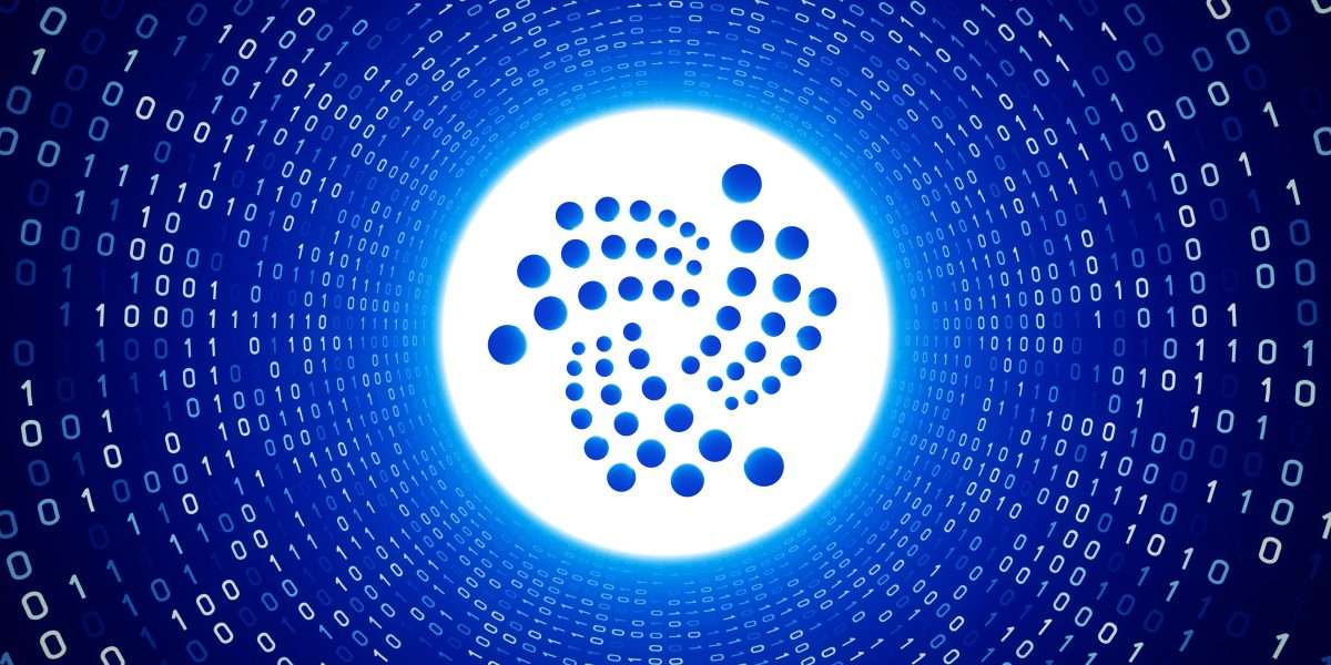 IOTA Co-Founder Answers Project Development Topics in a Live AMA