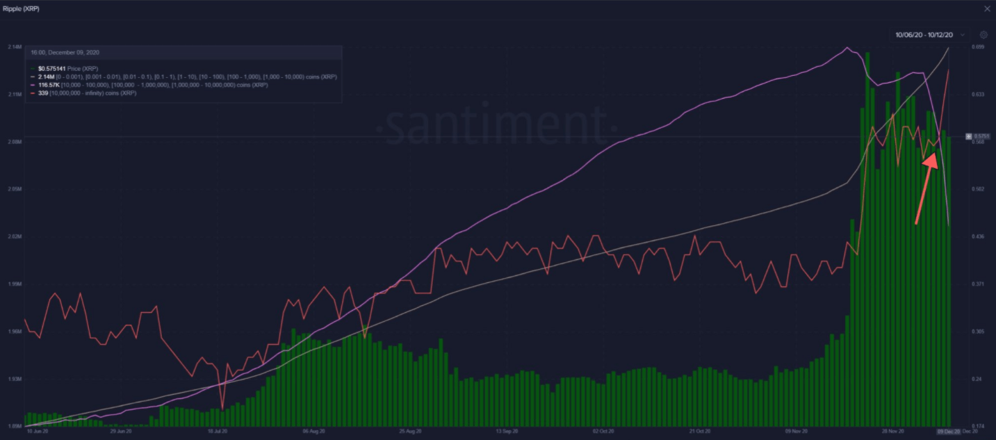 XRP Wale Santiment