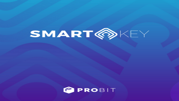 ProBit – La asociación SmartKey despega: IEO recauda 800.000 dólares skey right size
