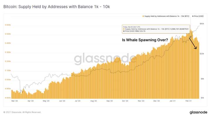 Bitcoin BTC