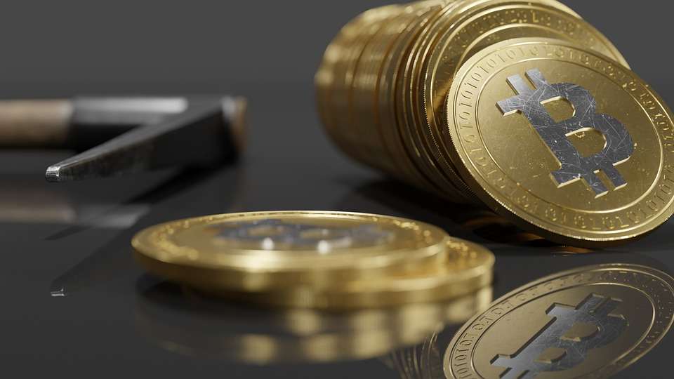 temple dao crypto price