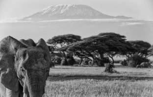 Jelurida Africa DLT schedules the East Africa Blockchain Expedition for Oct. 23- Nov. 24