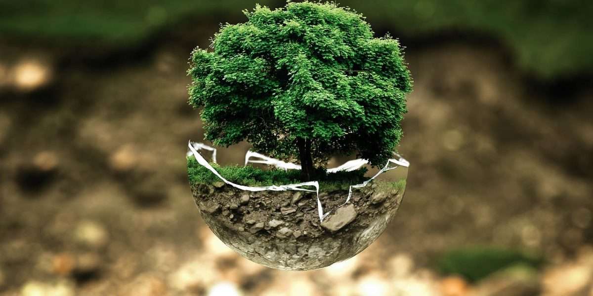 Algorand anuncia su compromiso de 15 millones de dólares con la causa medioambiental