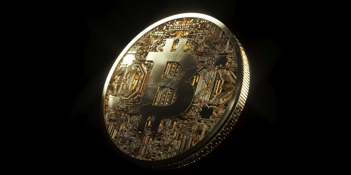 Bitcoin’s Popularity in the USA and its Progress in Montana