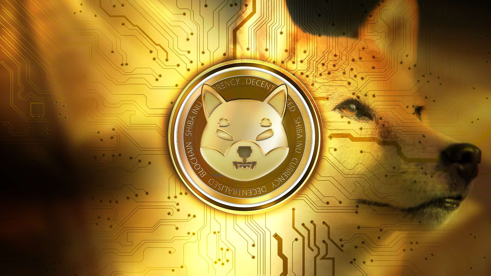 Shibarium Tech Suite: NOWNodes Powers Shiba Inu’s DeFi Revolution