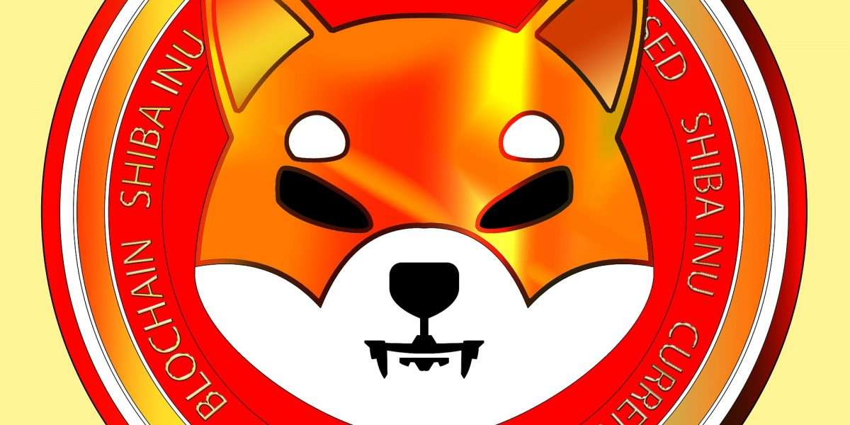 What Makes a Cryptocurrency Explode Like Shiba Inu?