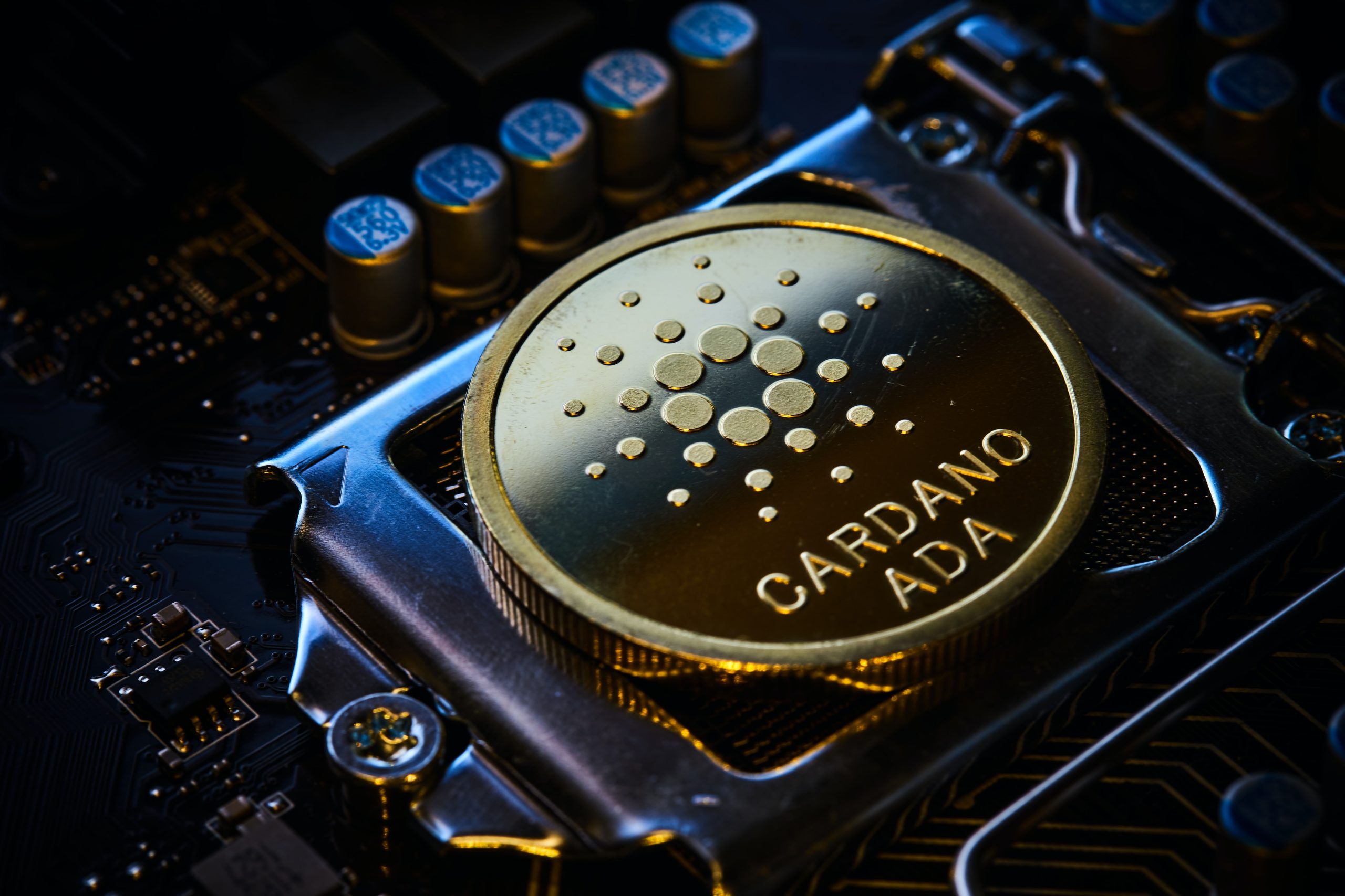 Cardano Stakepools: Ein Leitfaden zur Maximierung Ihrer Erträge