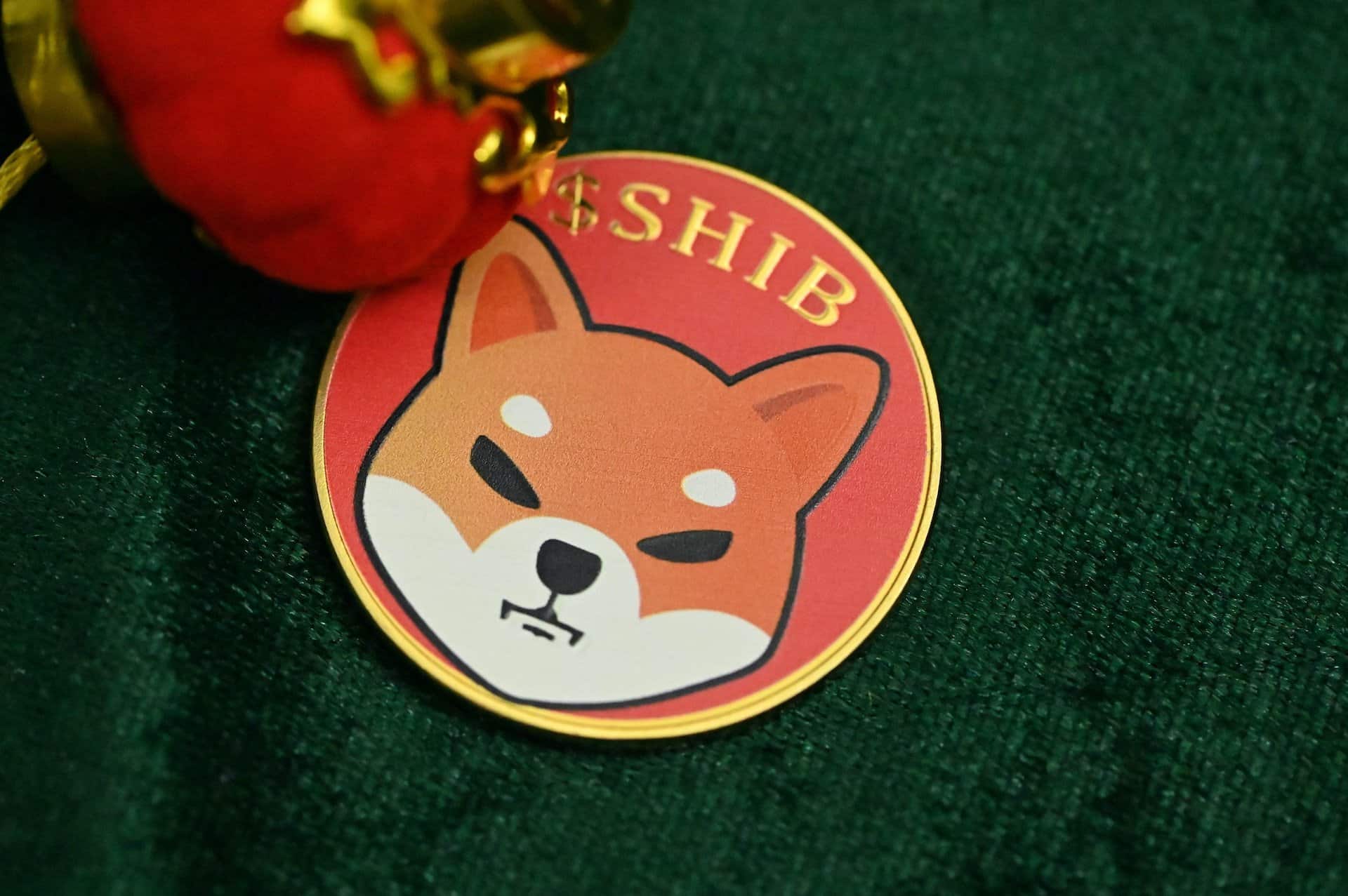 Shiba Inu’s Game-Changer: Shibarium Scaling Triumphs with 65K Wallets and 350K Transactions