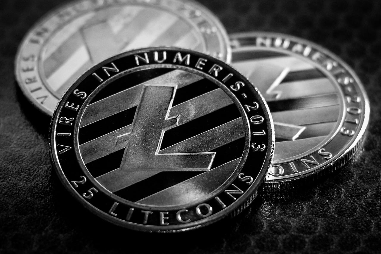 Litecoin Volume Skyrockets Ahead of LTC Halving This Week – What Should Investors Expect?