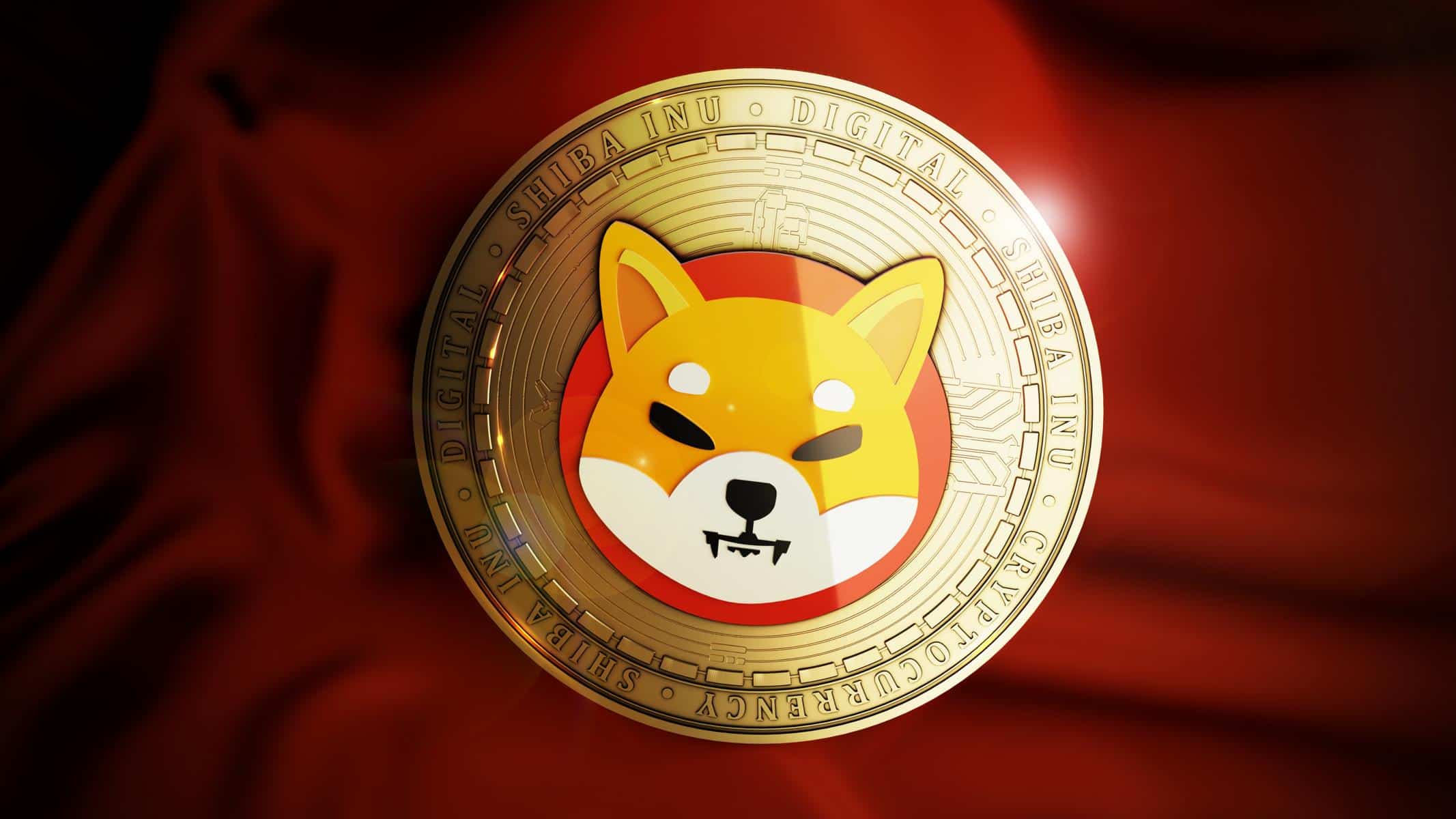 Shibdentity: Shiba Inu’s New Bet to Simplify Web3 Transactions