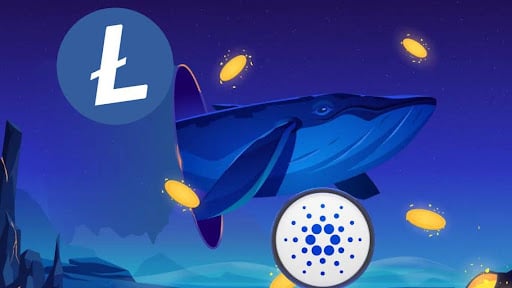 Que savent les baleines ? Découvrez pourquoi Cardano et Litecoin sont actuellement leurs meilleurs choix - La Crypto Monnaie