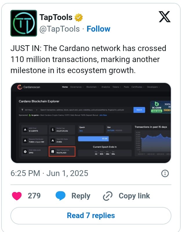 Cardano 