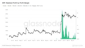 Whale Activity Slows, Longs Surge — Key Levels to Watch