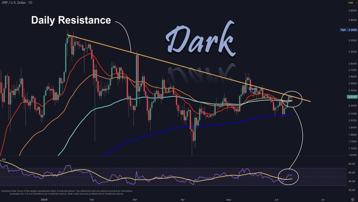 XRP On-Chain Payments Jump 117% in a Day – Is a Price Rally Coming?