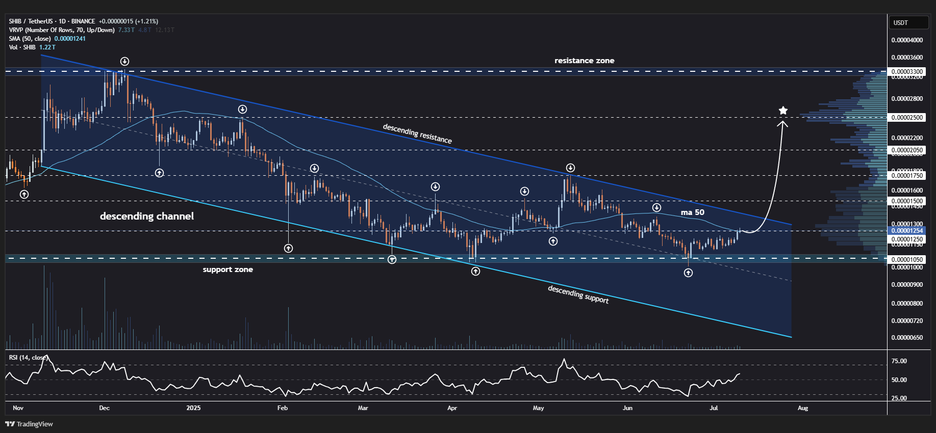 Can SHIB Rally 2x in July?