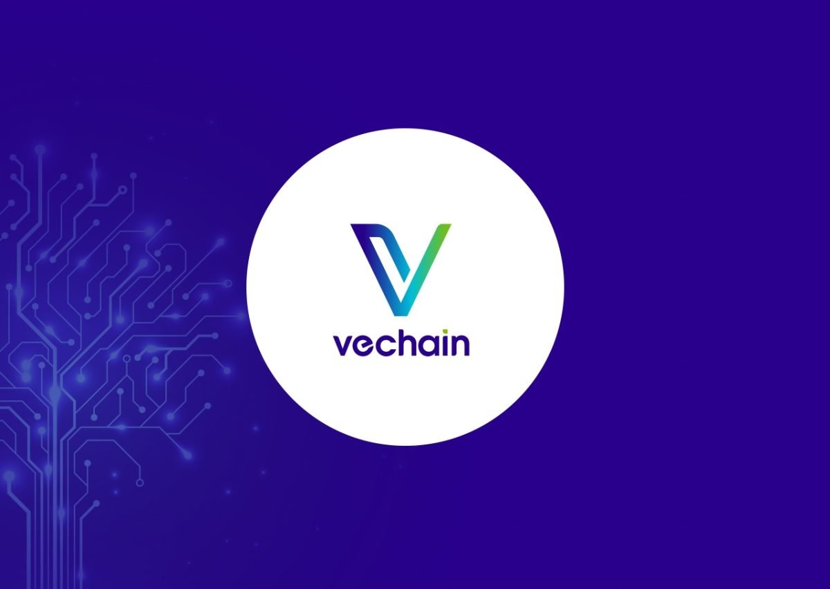 Wird-VeChain-zum-Betriebssystem-des-Welthandels-