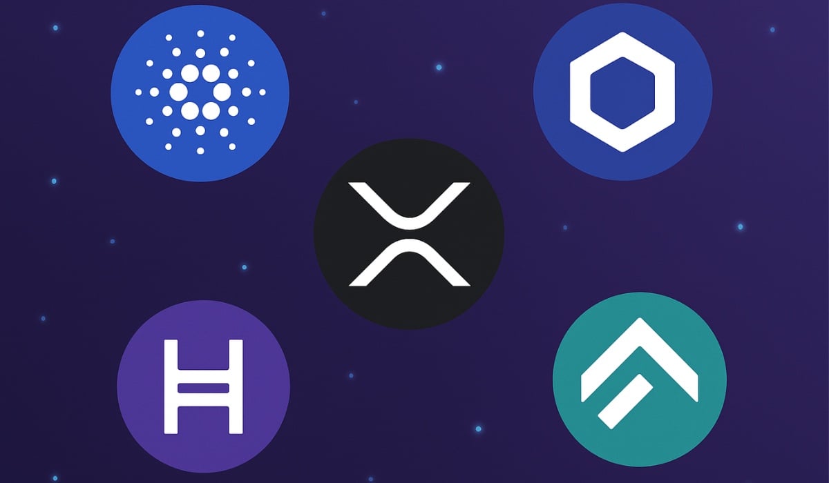 Fünf Altcoins haben sensationelle Entwicklungschancen