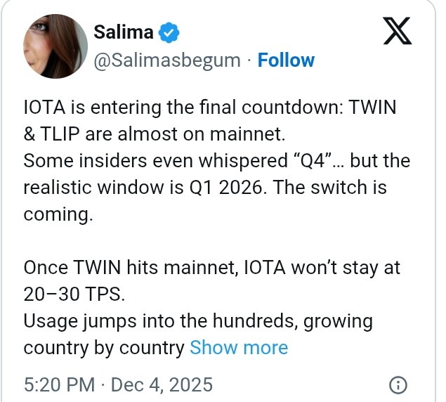 IOTA Eyes Q1 2026 Launch for TWIN, Unlocking Real-World Trade Activity