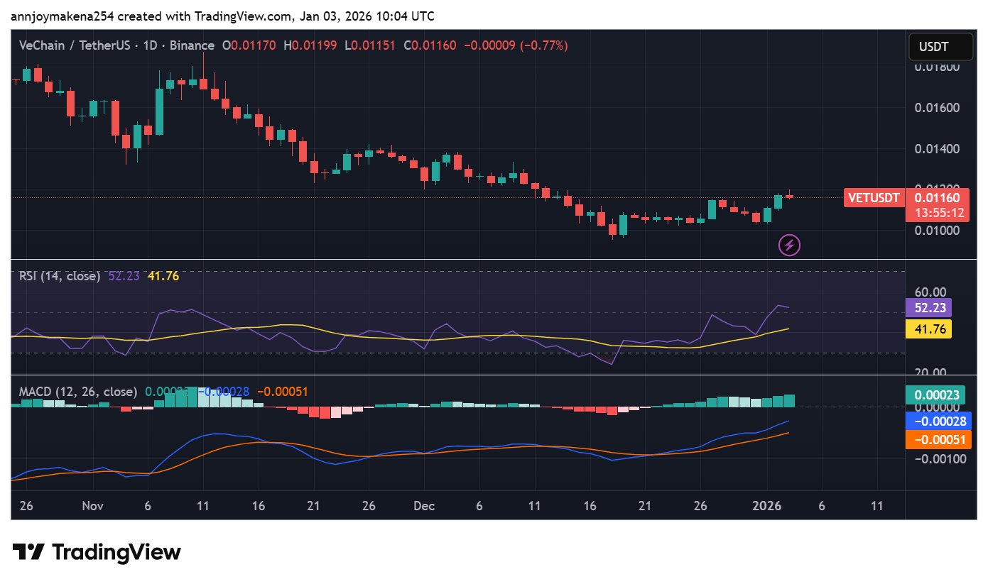 VeChain Blockchain Gains Traction as VET Hits Kraken